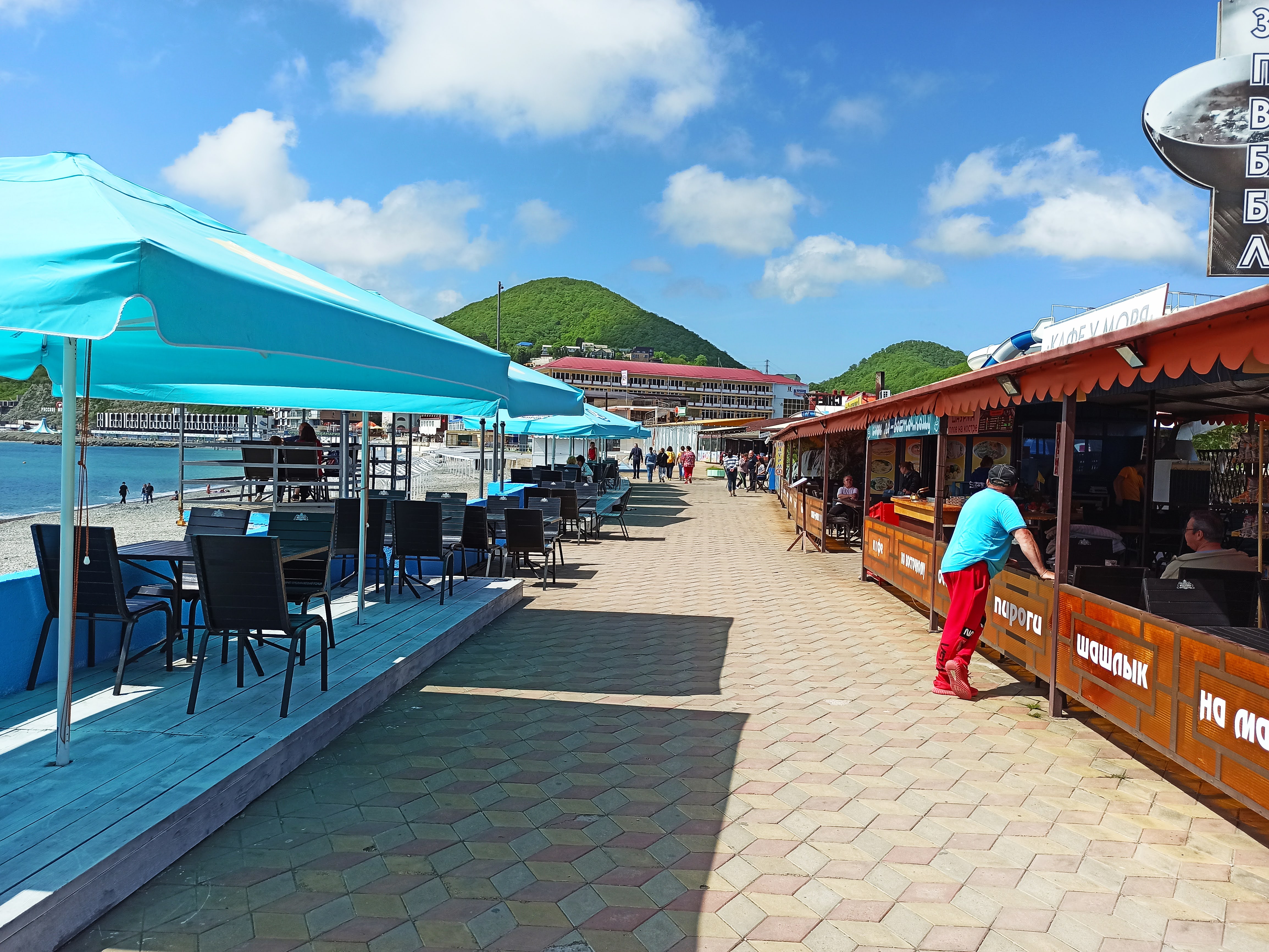 Фото Афалина