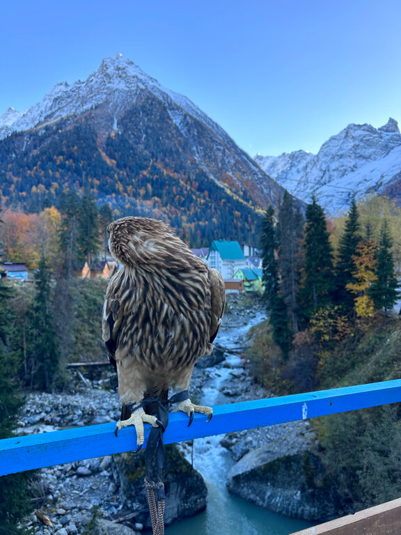 Фото Гостиница Домбай