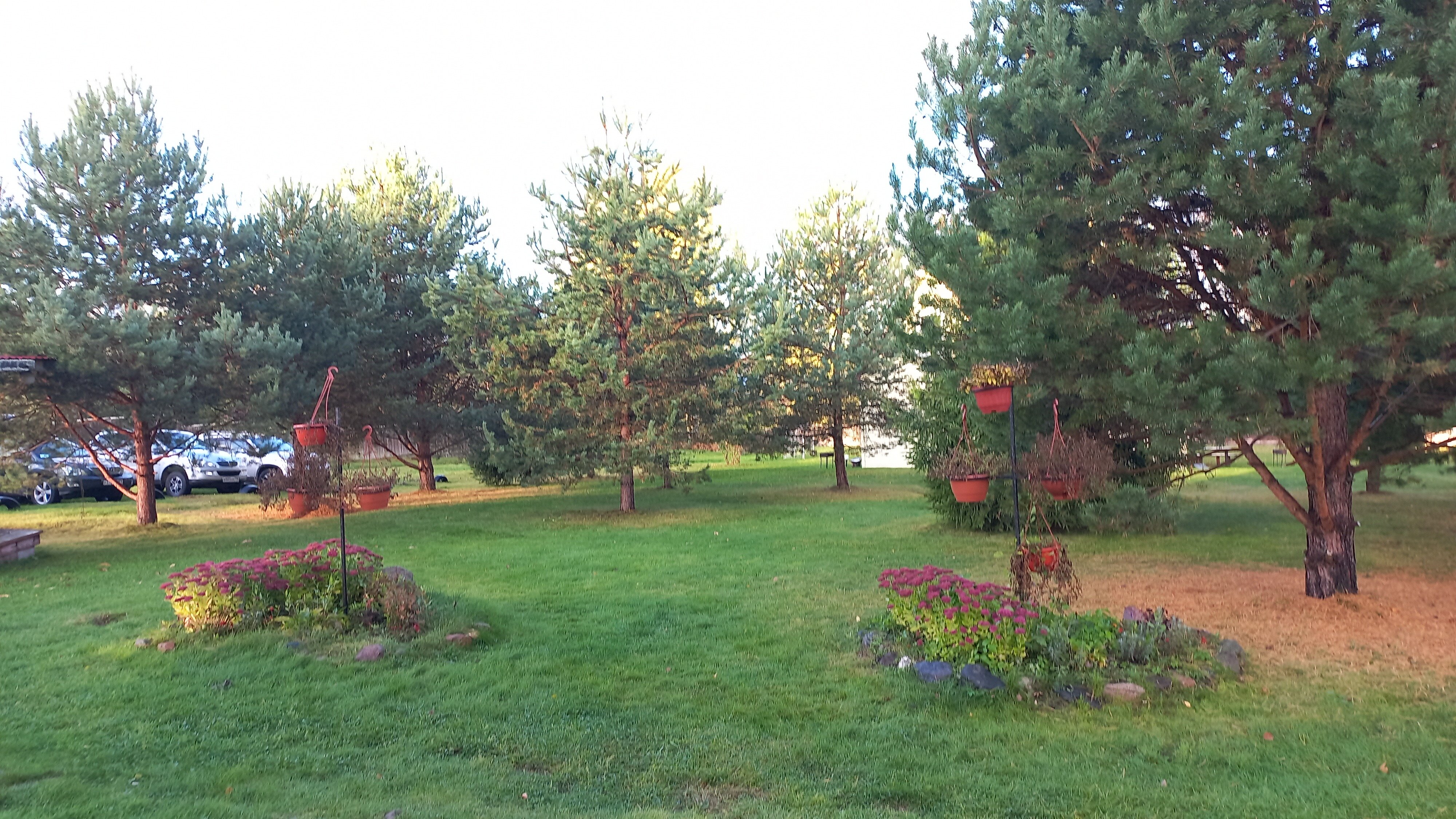 Фото Дункан