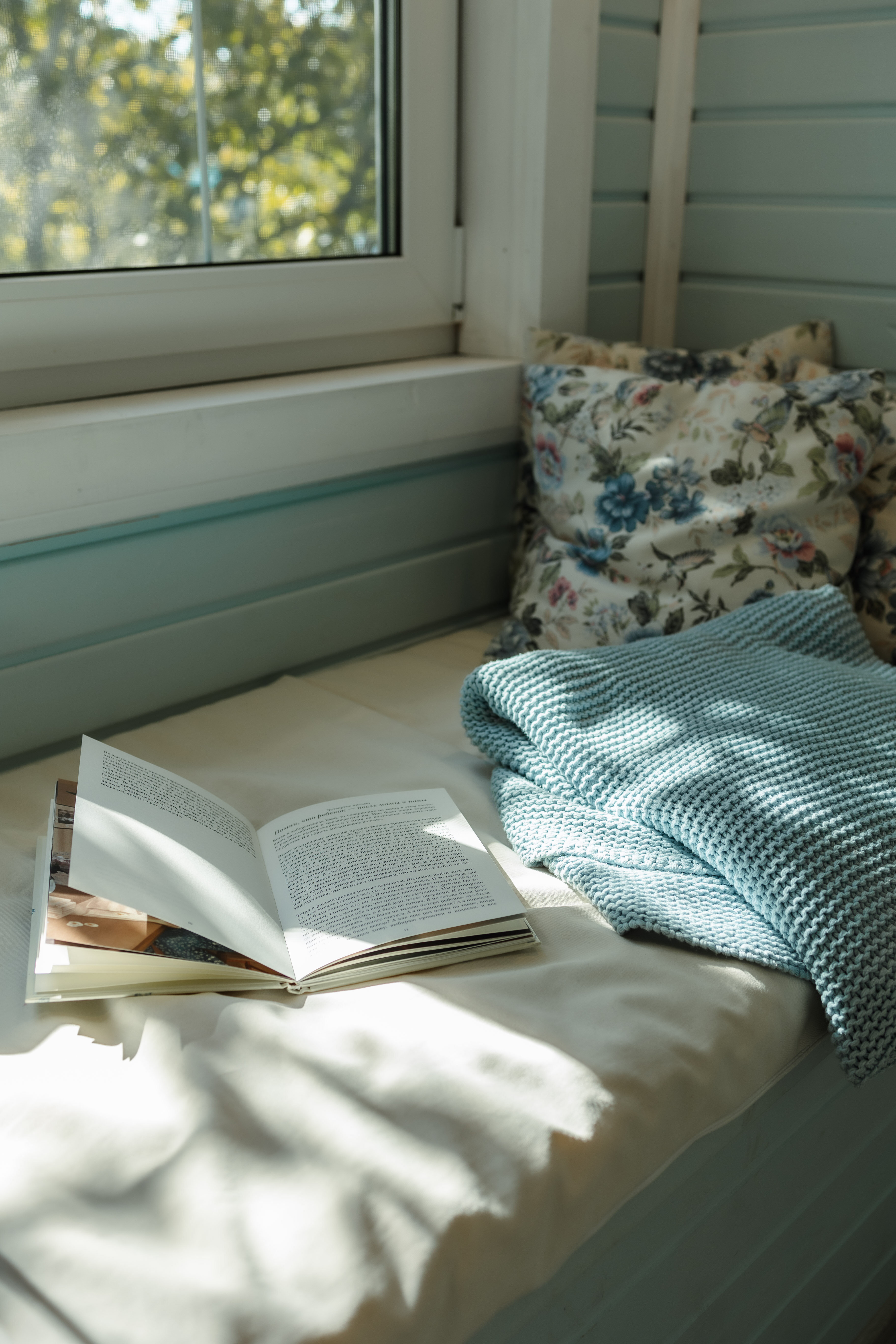 Фото Синяя синица