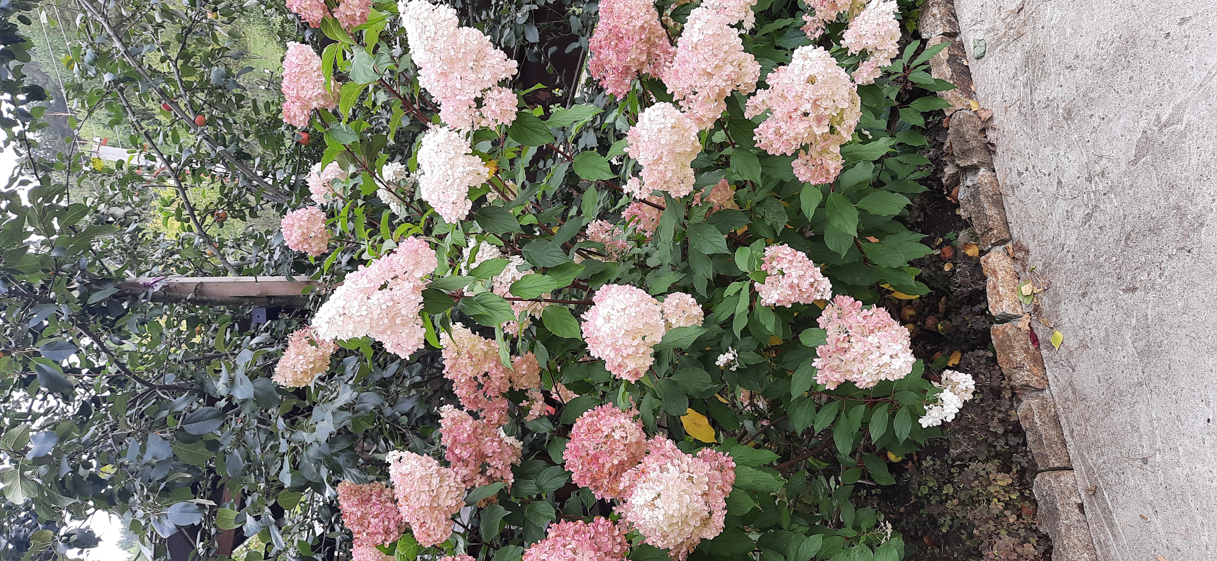 Фото Радевичи