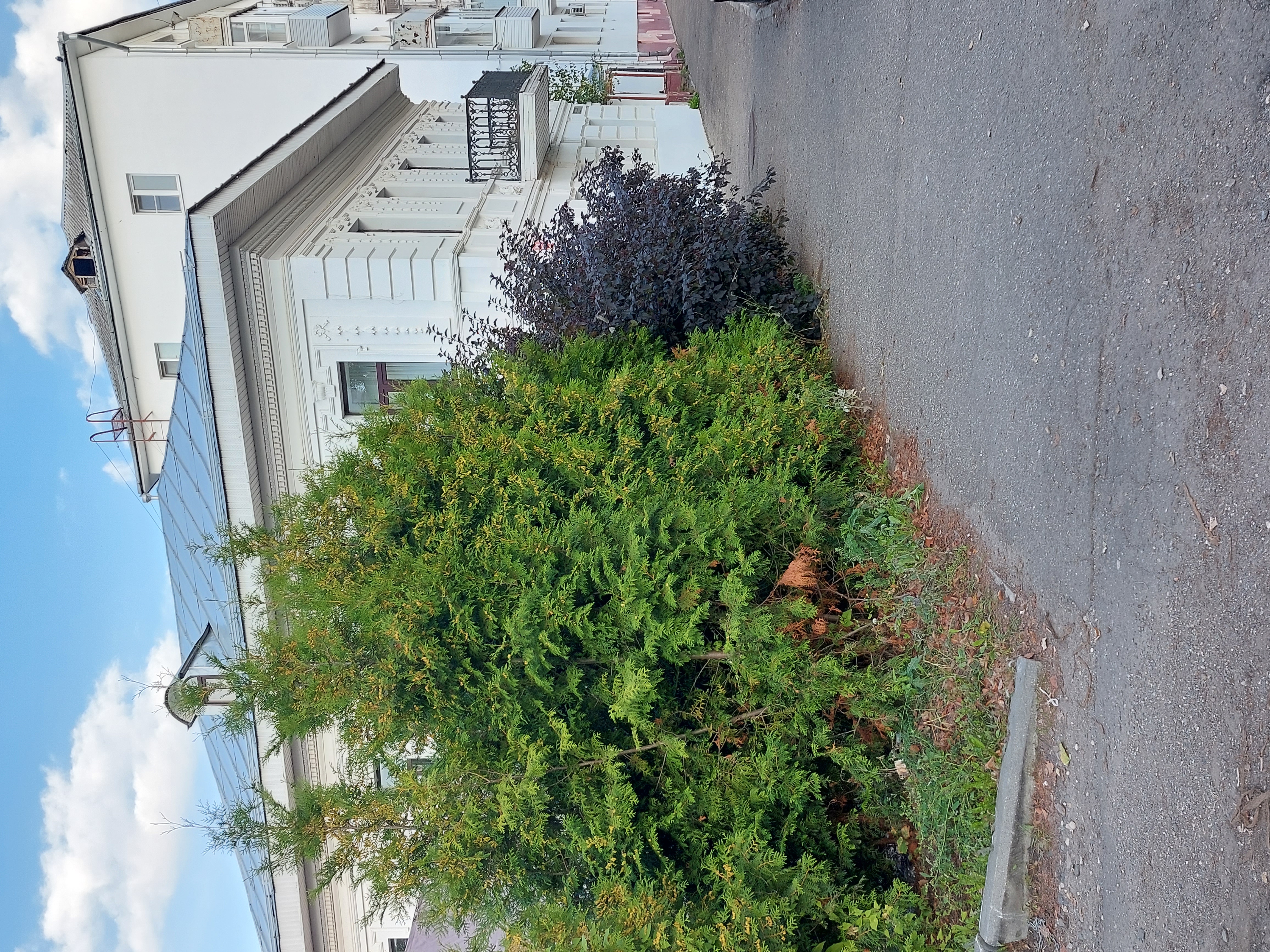 Фото Достоевский