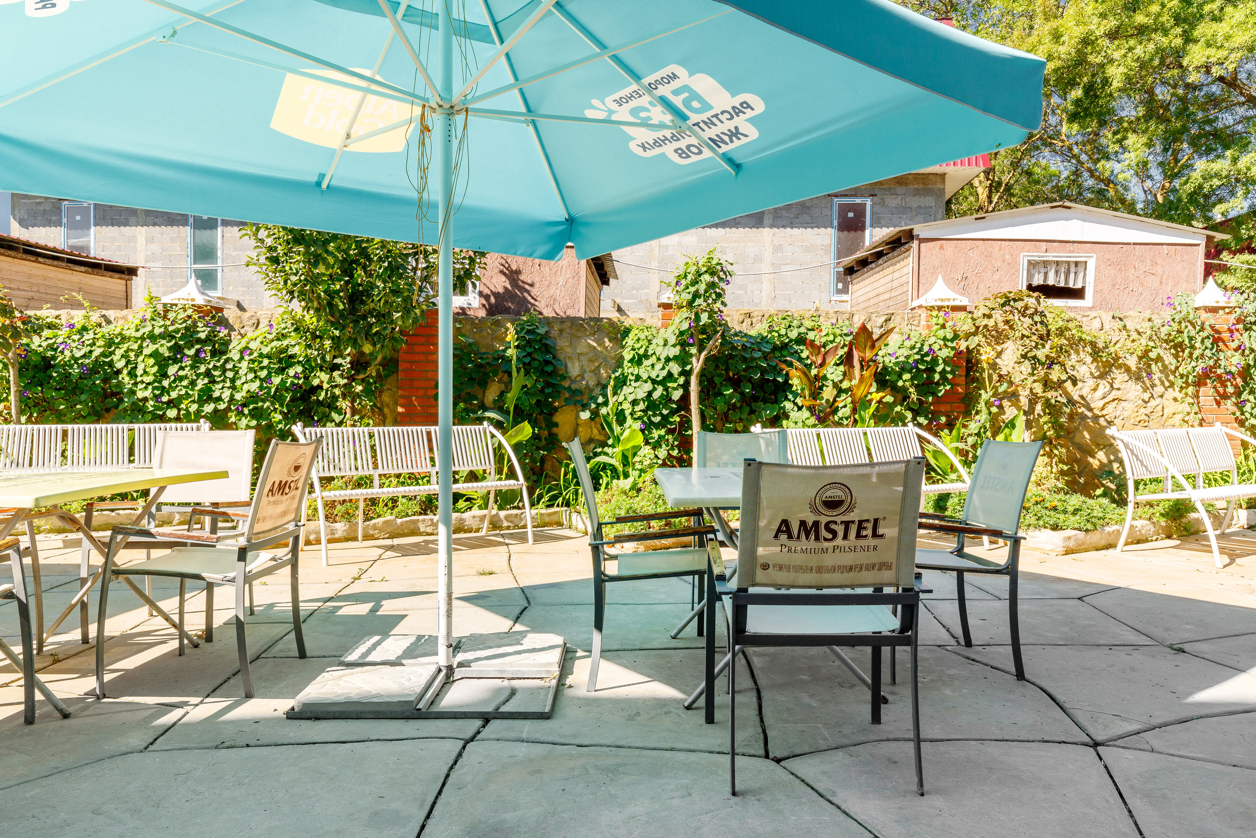 Фото Сашенька