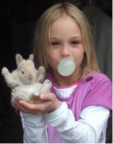 Фото Jagerhäusl