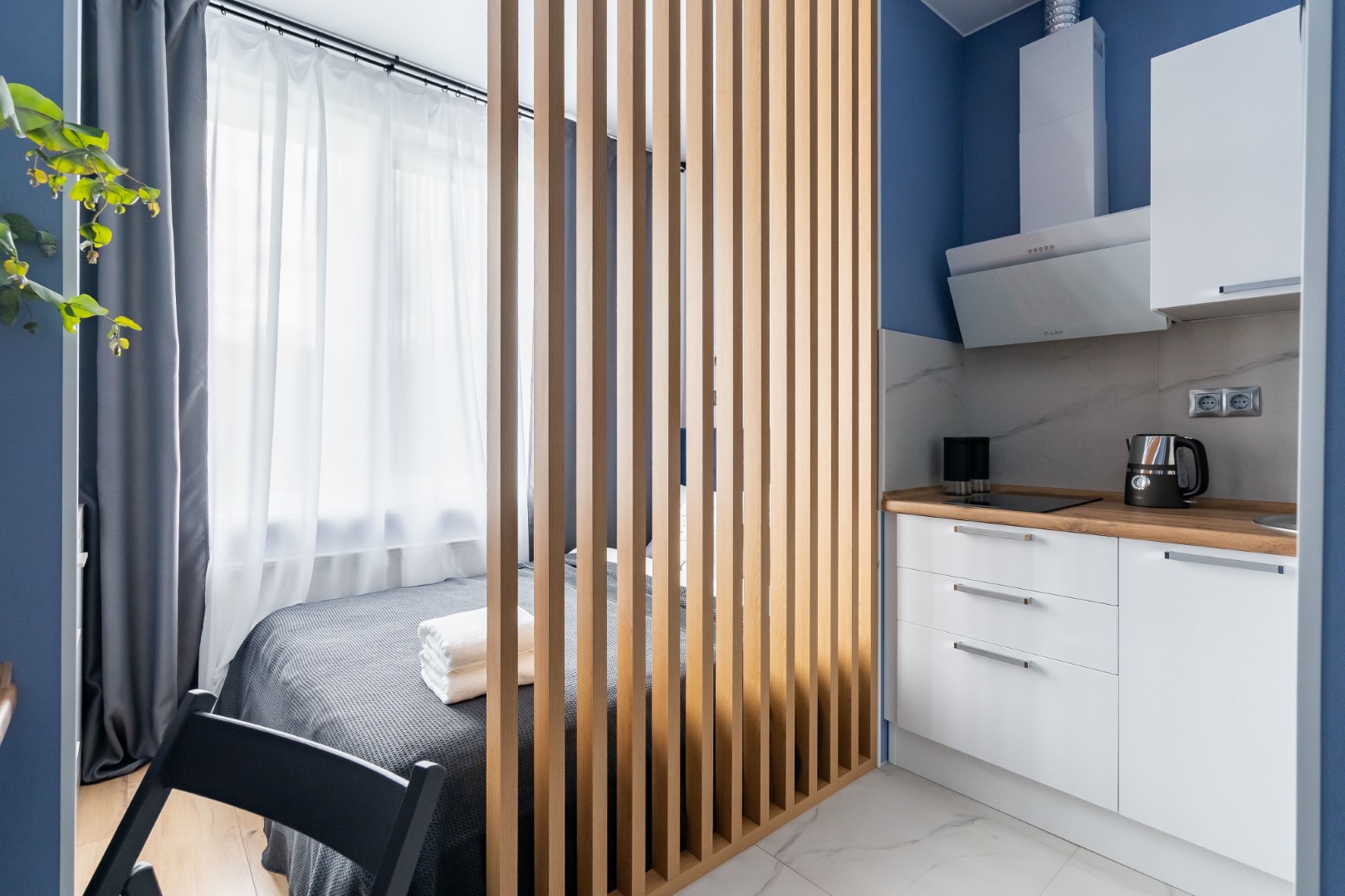 Фото Абрикосовое дерево на Старой деревне