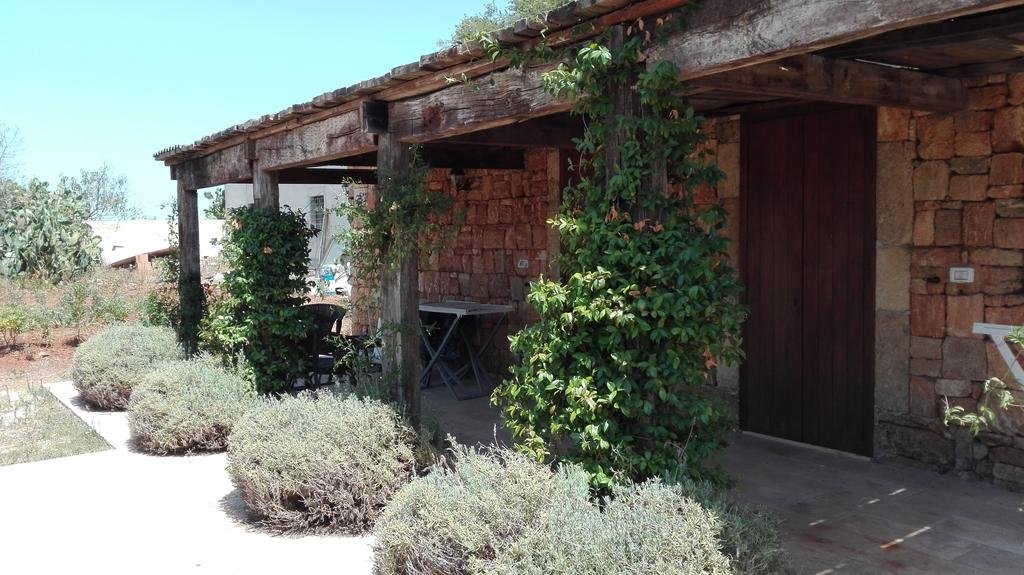 Фото Tenuta il Grifo