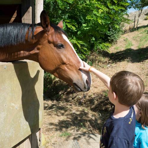 Фото Agriturismo Le Valli