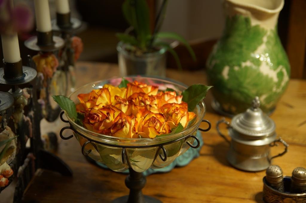 Фото Bed and Breakfast Wildrose