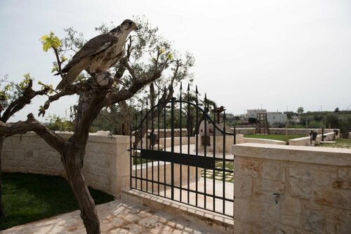 Внешний вид отеля Resort La Corte Dell'Astore в Альберобелло, фото 3