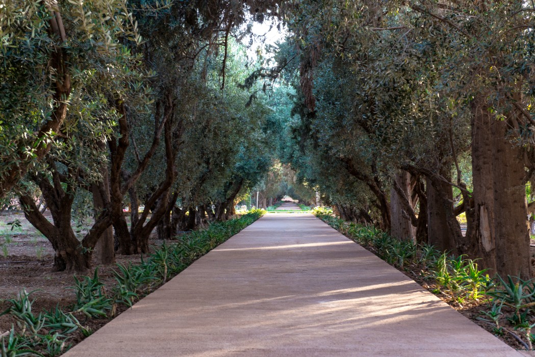 Фото The Oberoi Marrakech