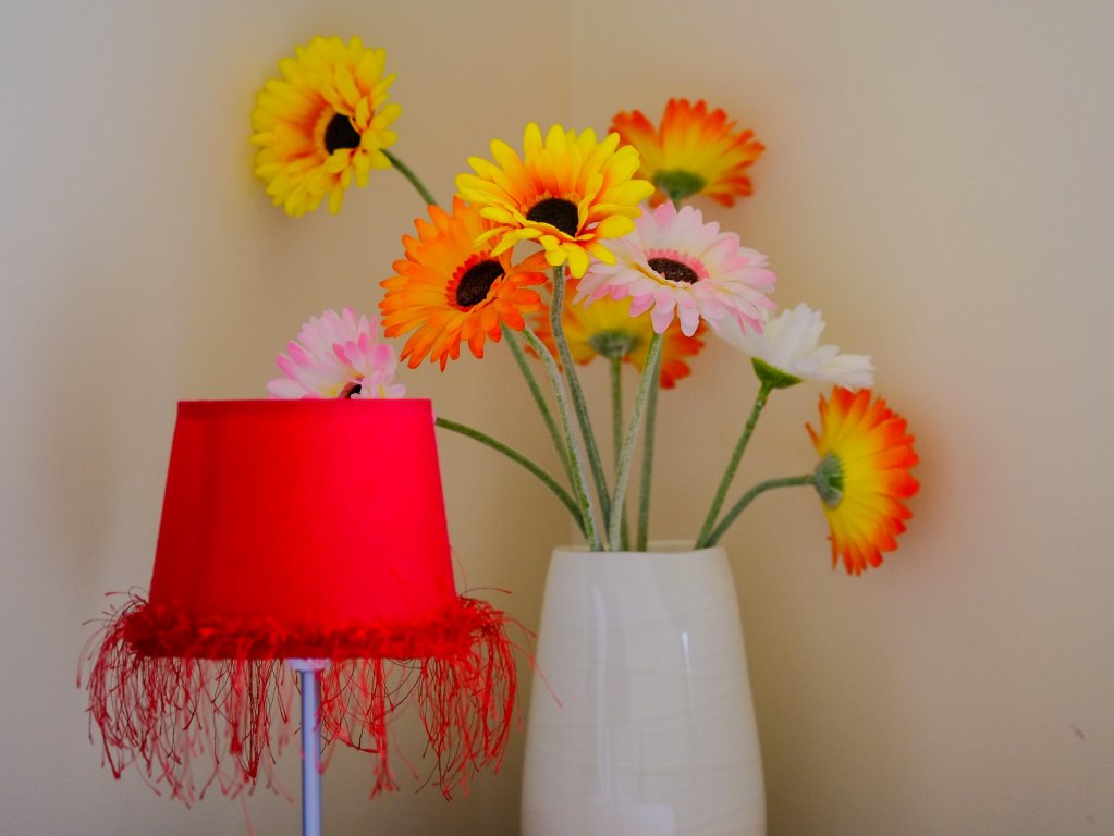 Фото Ann's Volcanic Rotorua Motel and Serviced Apartments