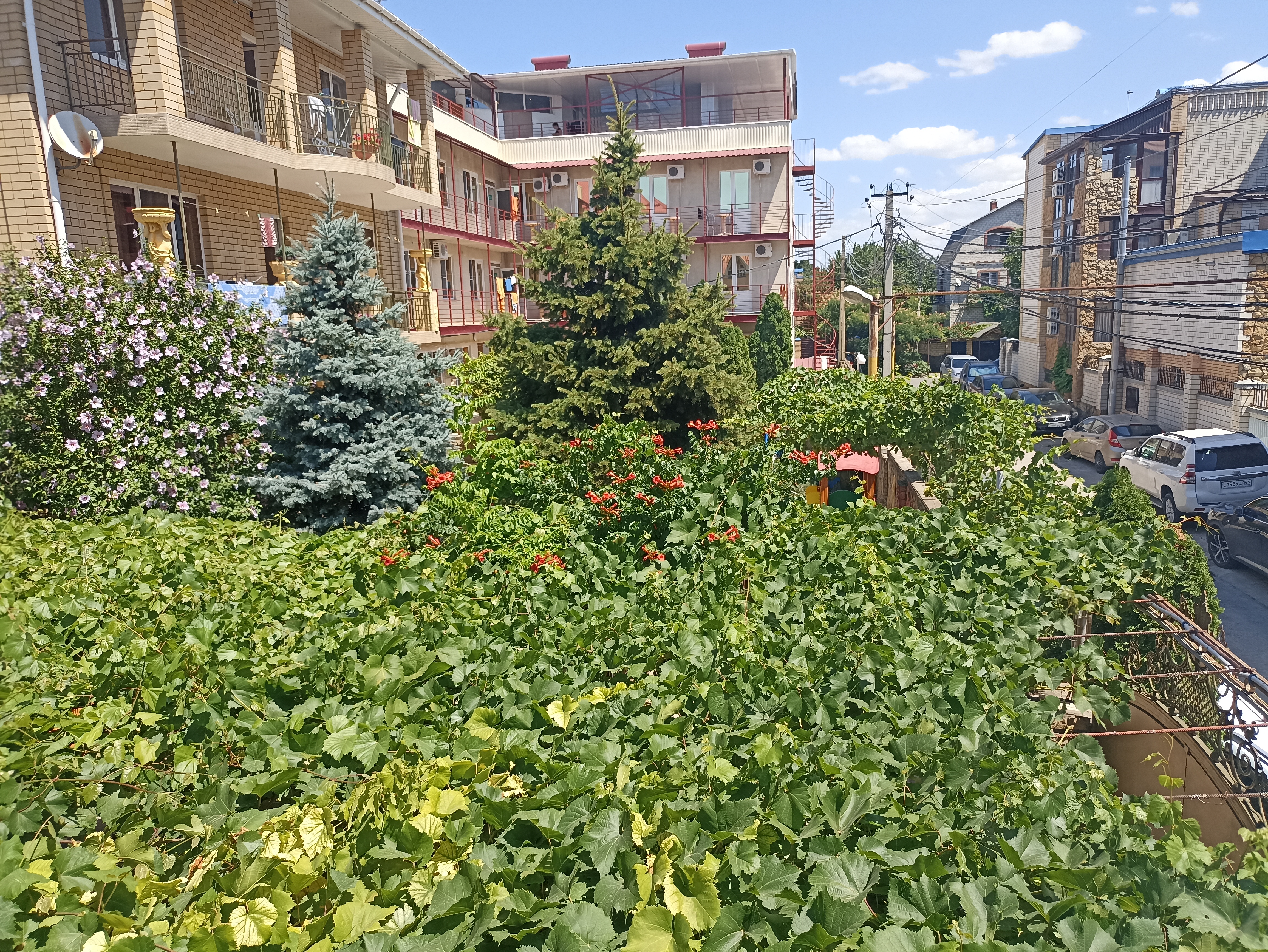 Фото Костас