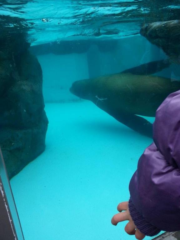 Фото Milk-ya Women-Only Guest House