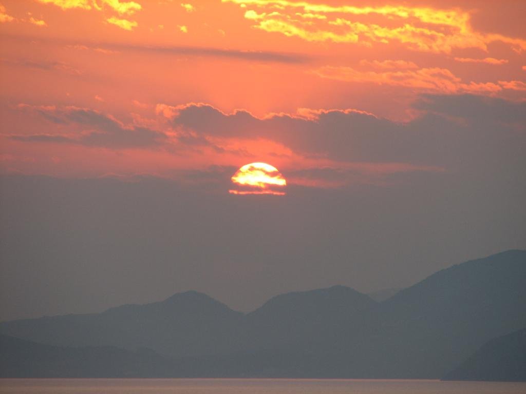 Фото Hydra Erato