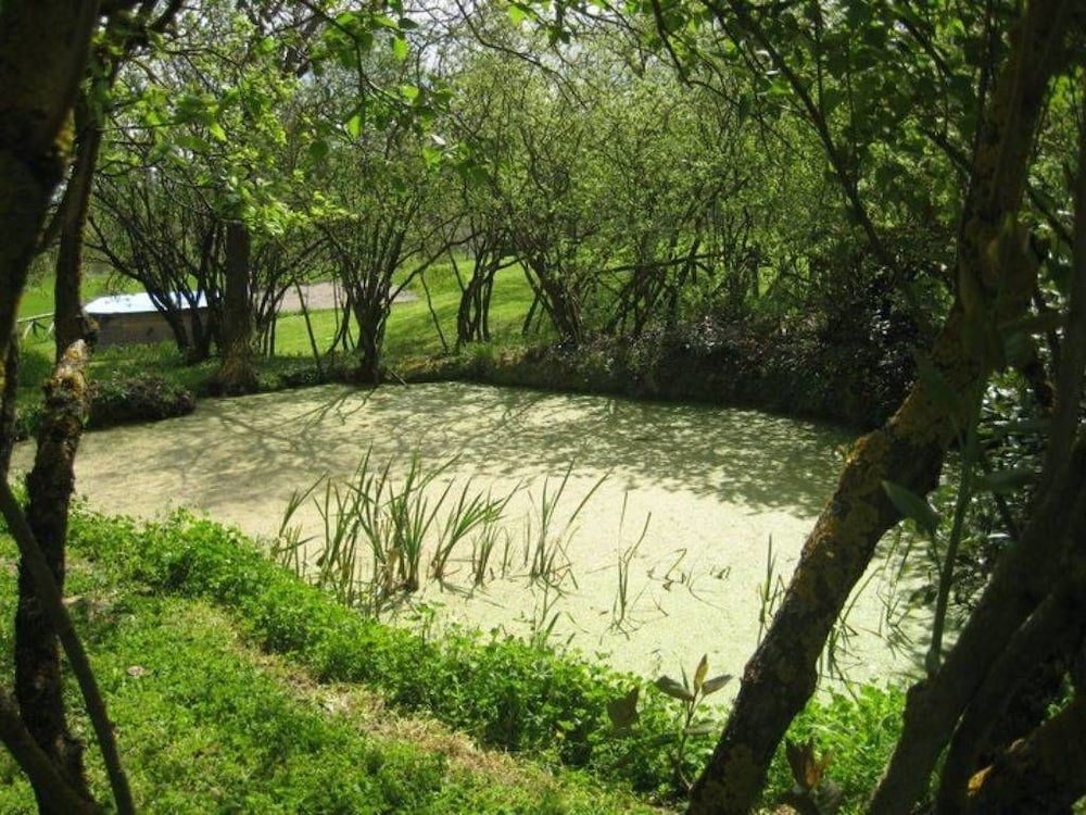 Фото Podere Pievina