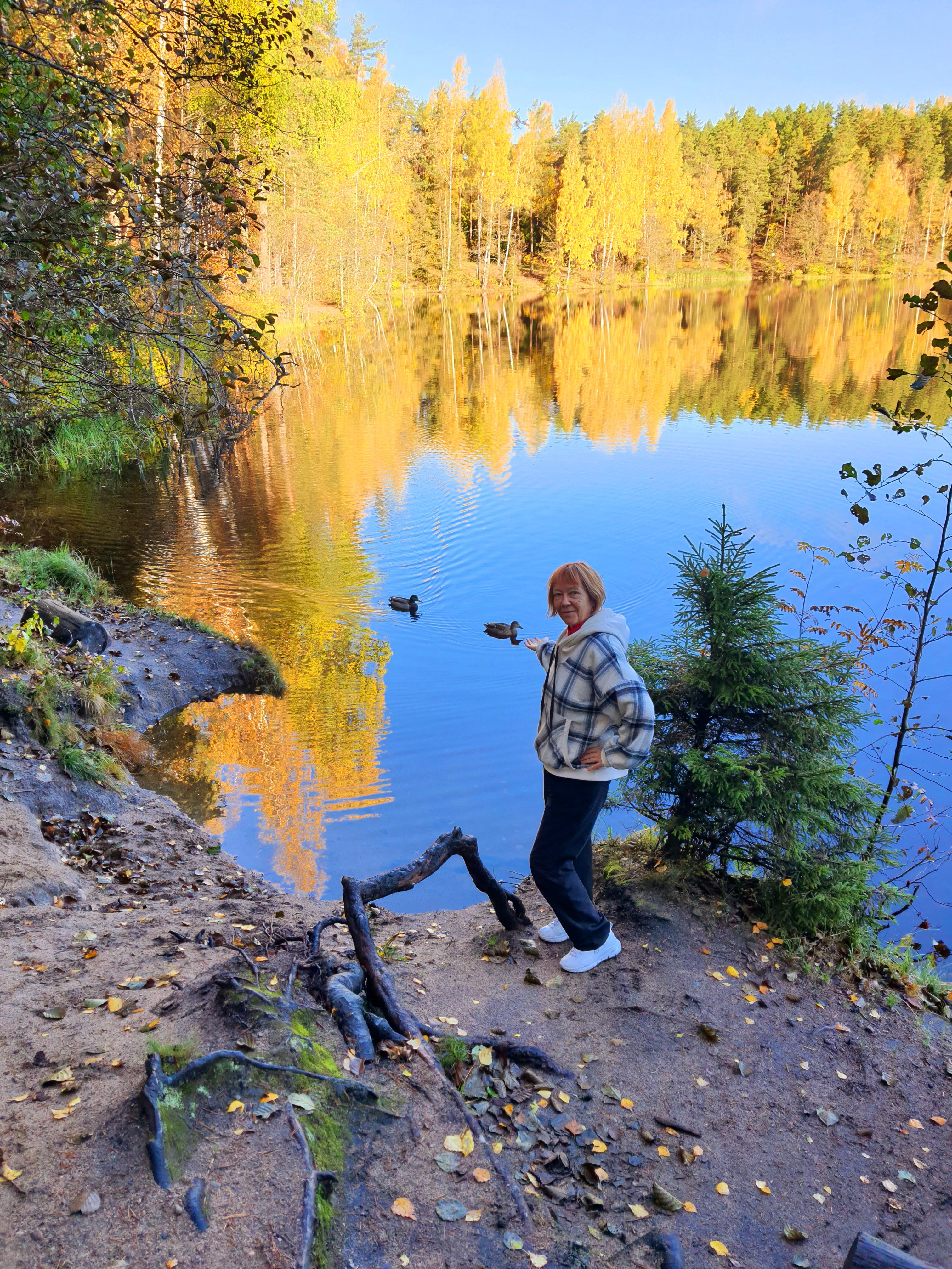 Фото Дом творчества Архитектор