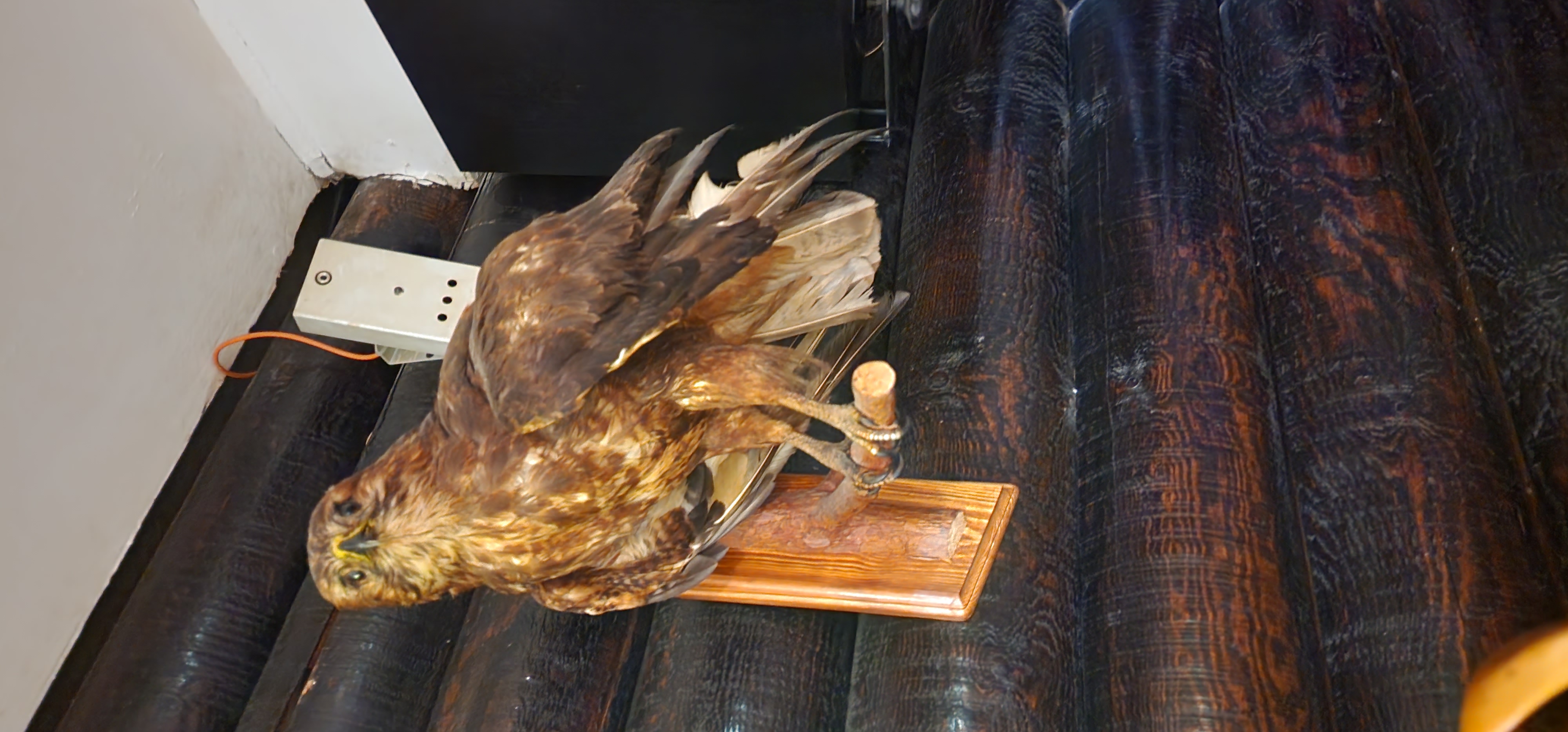 Фото Сибирь