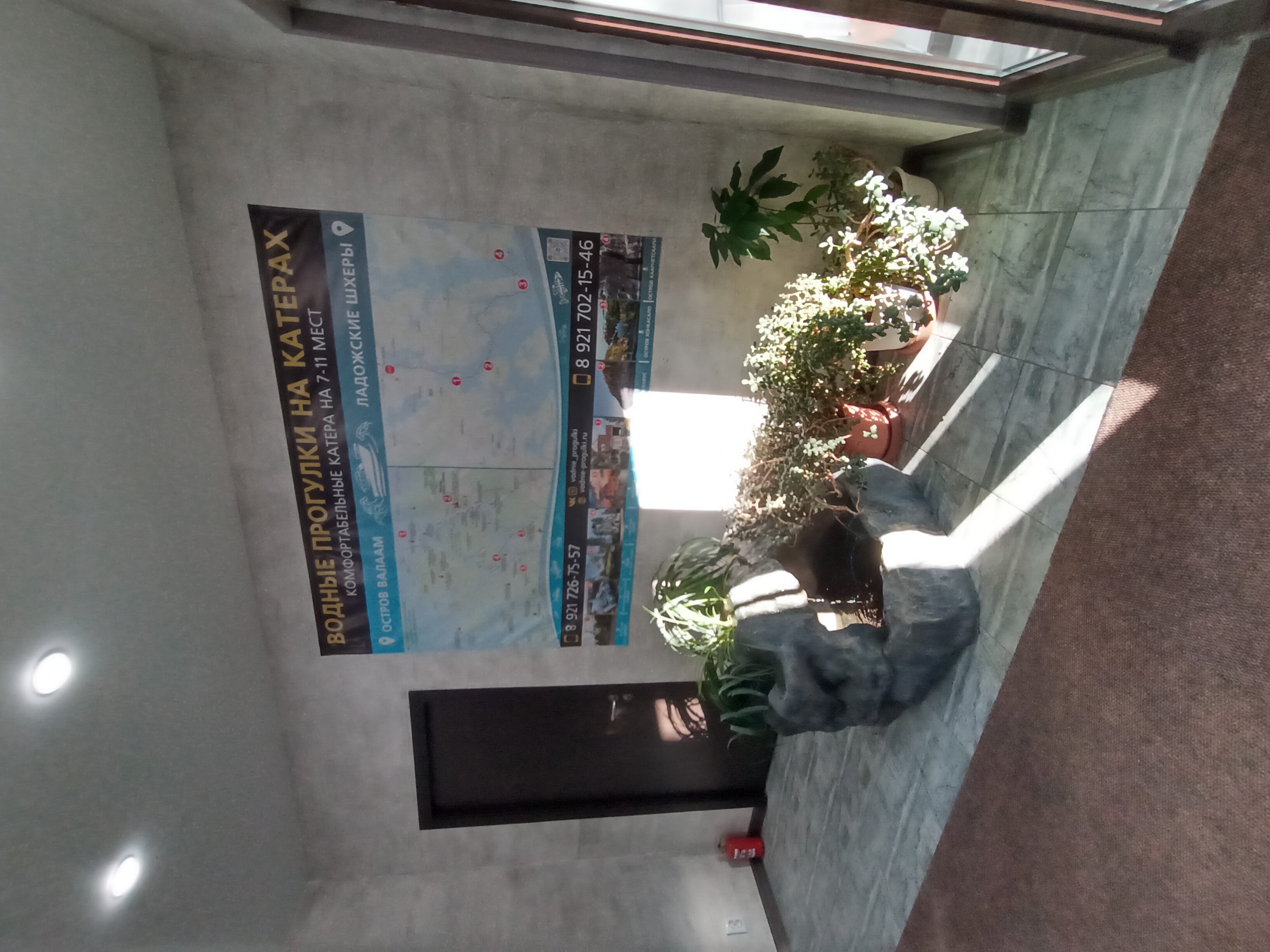 Фото Моррис