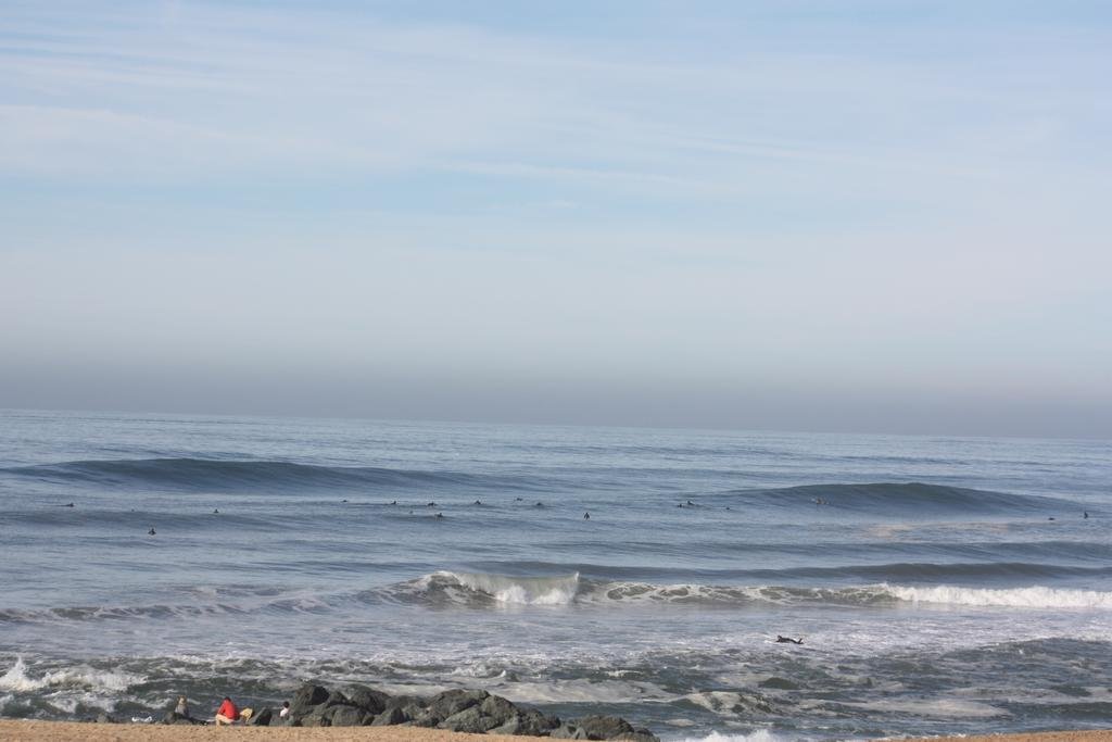 Фото Le Surf Spot