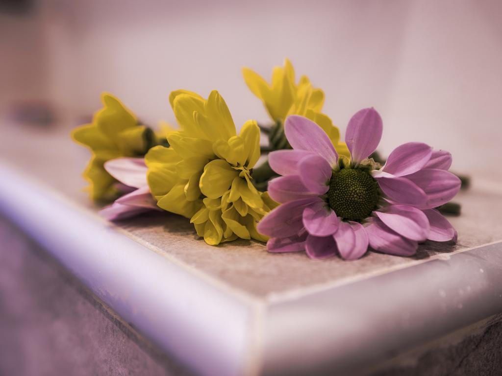 Фото Casa Vacanze Ferrari al Vaticano