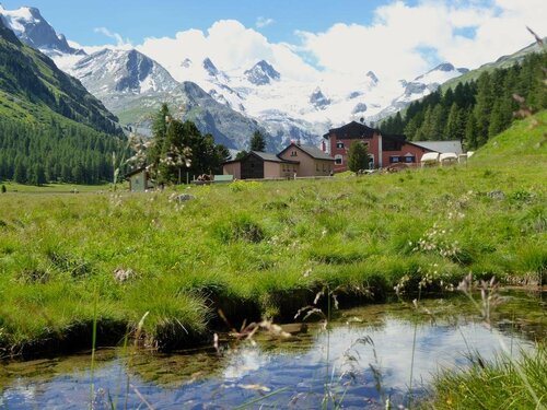 Гостиница Hotel Roseg-Gletscher