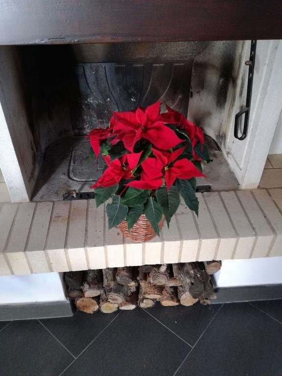 Фото Alloggio Turistico Le Calle