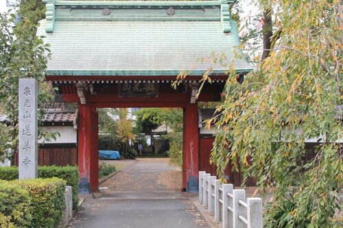 Гостиница Guest House Grape House Koenji - Female Only