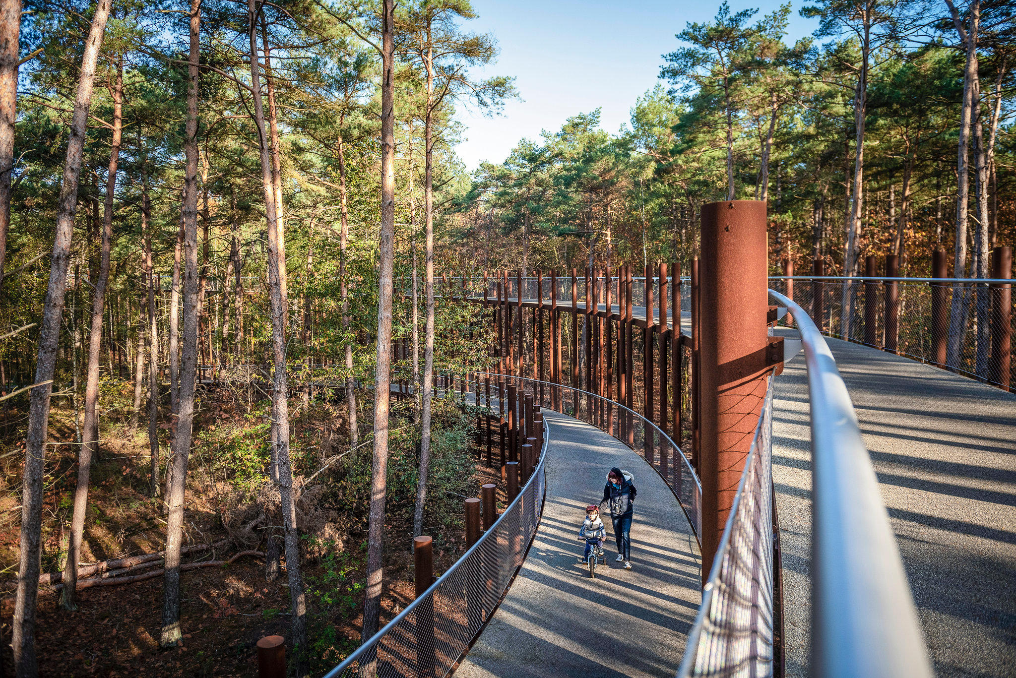 Фото 123800312978