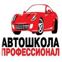 Логотип автошколы «Профессионал»