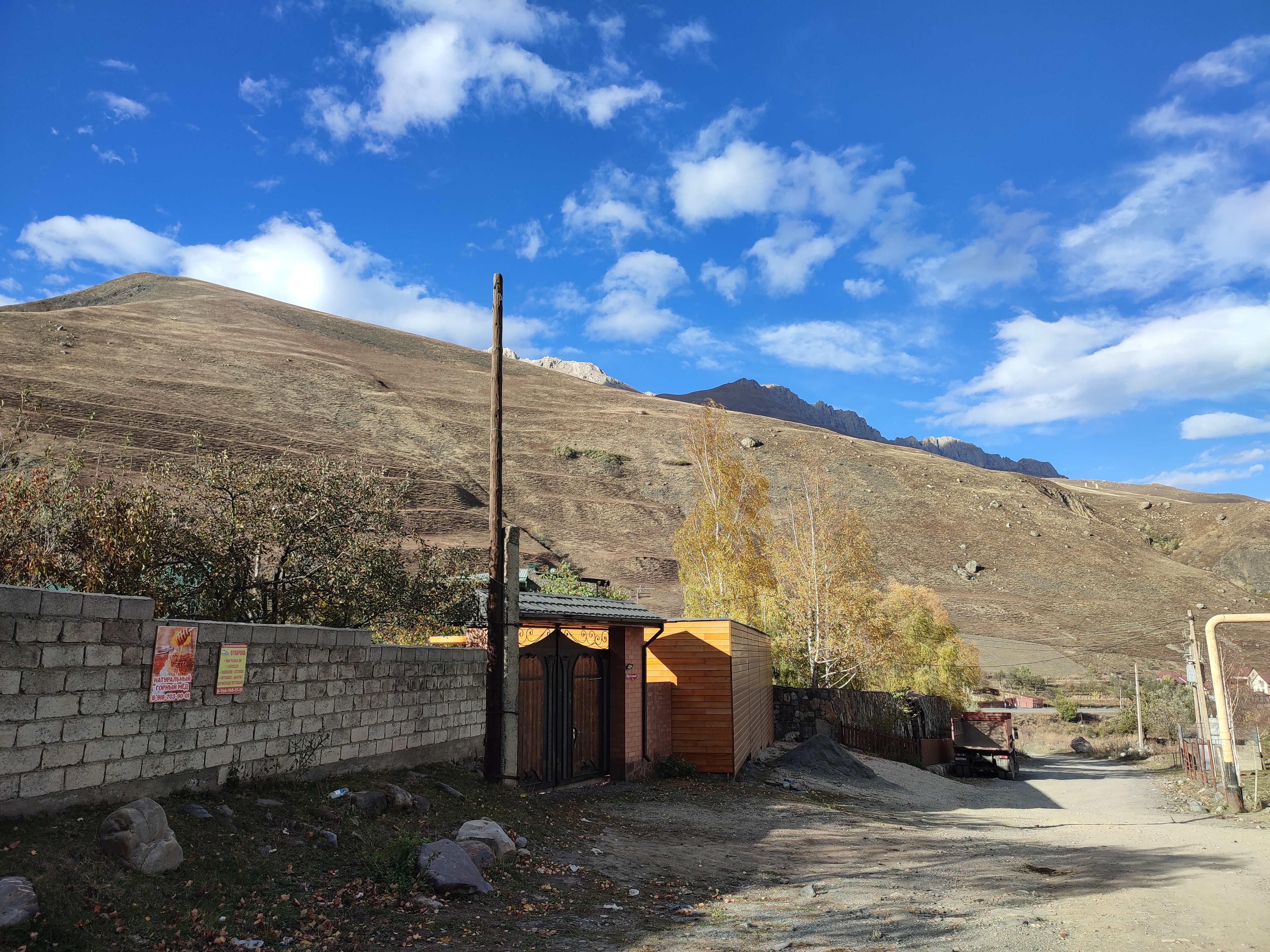 Фото Фруктовый Сад