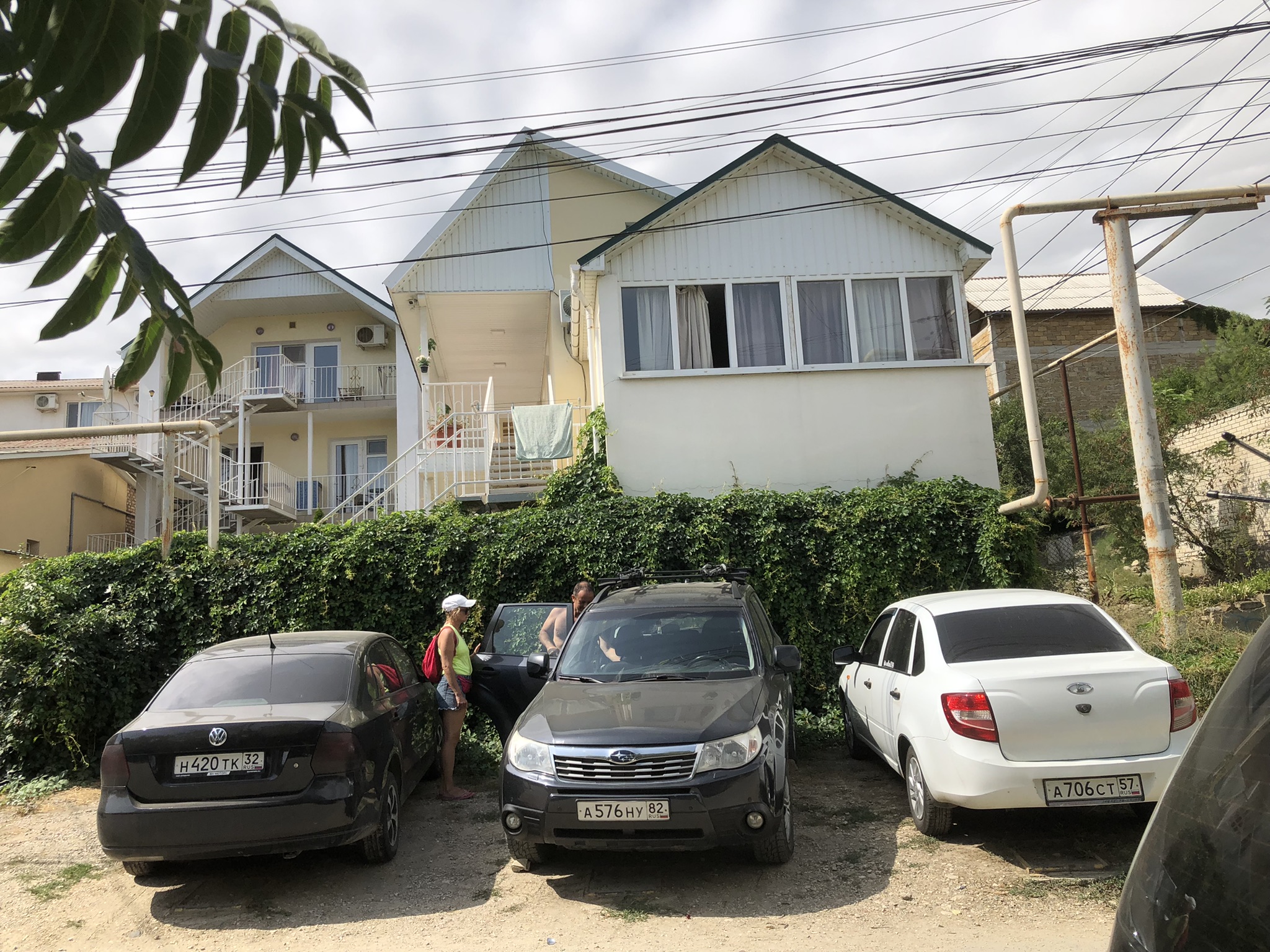 Фото Фламинго