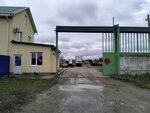 Саратовский центр Экоспас (Московское шоссе, 148, корп. 6), firefighting equipment