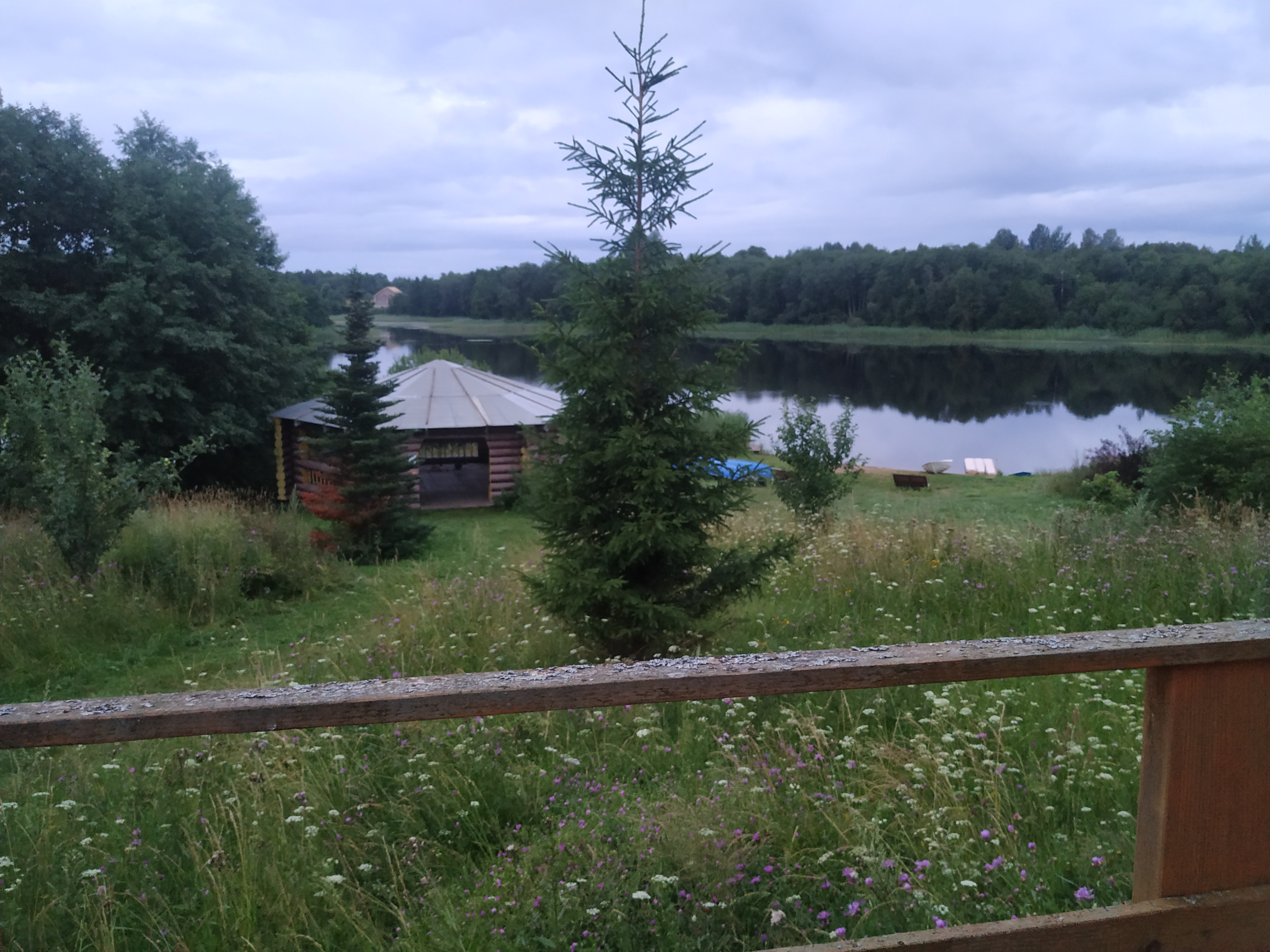 Фото Селигерская пасека