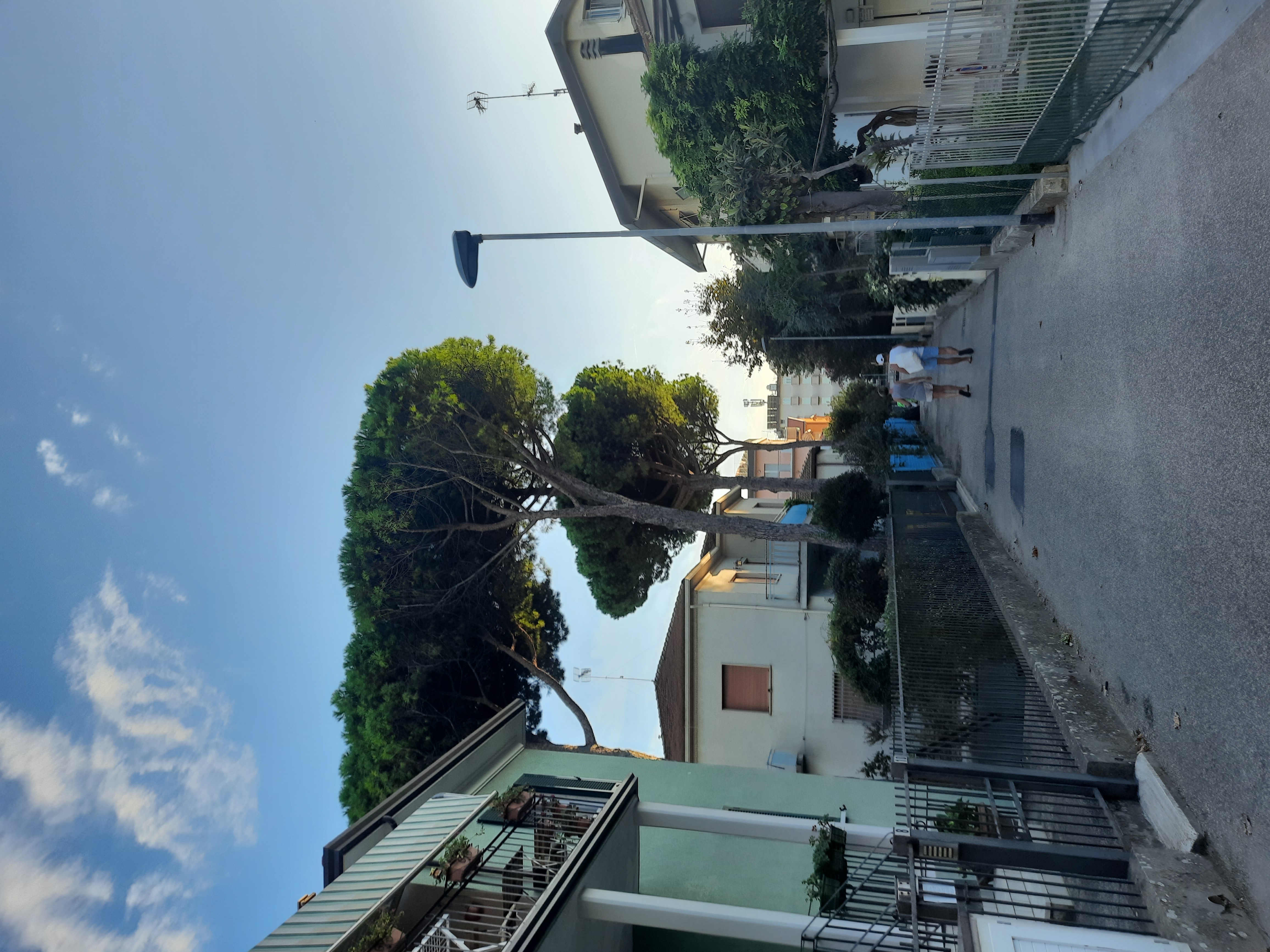 Фото Reale Hotel