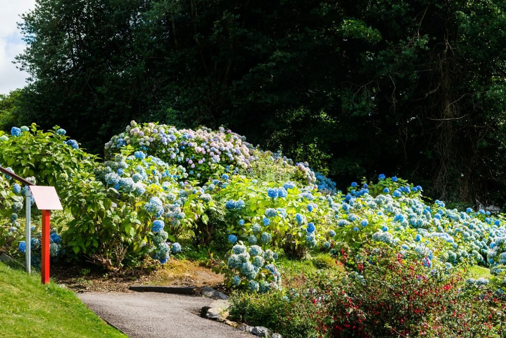 Landscape design Morina Jardin Sàrl, Lausanne, photo