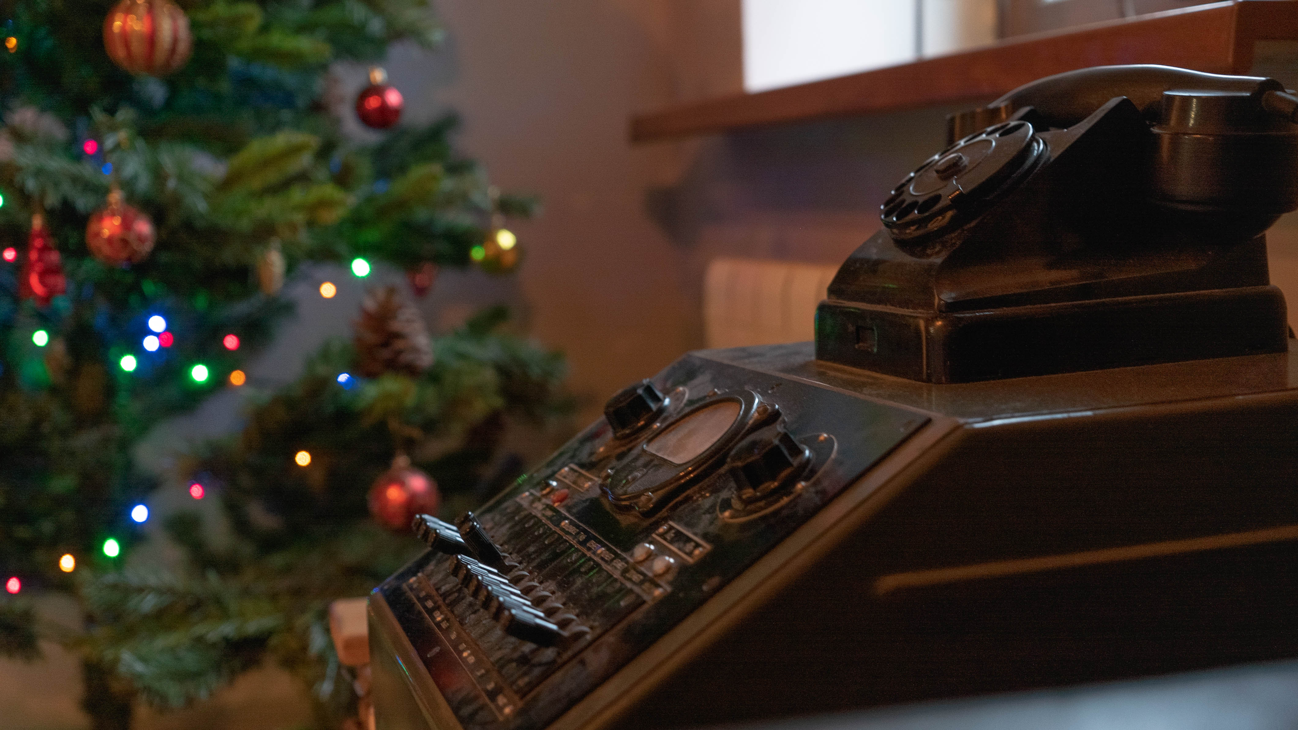 Фото Яблоневый сад Барыбино