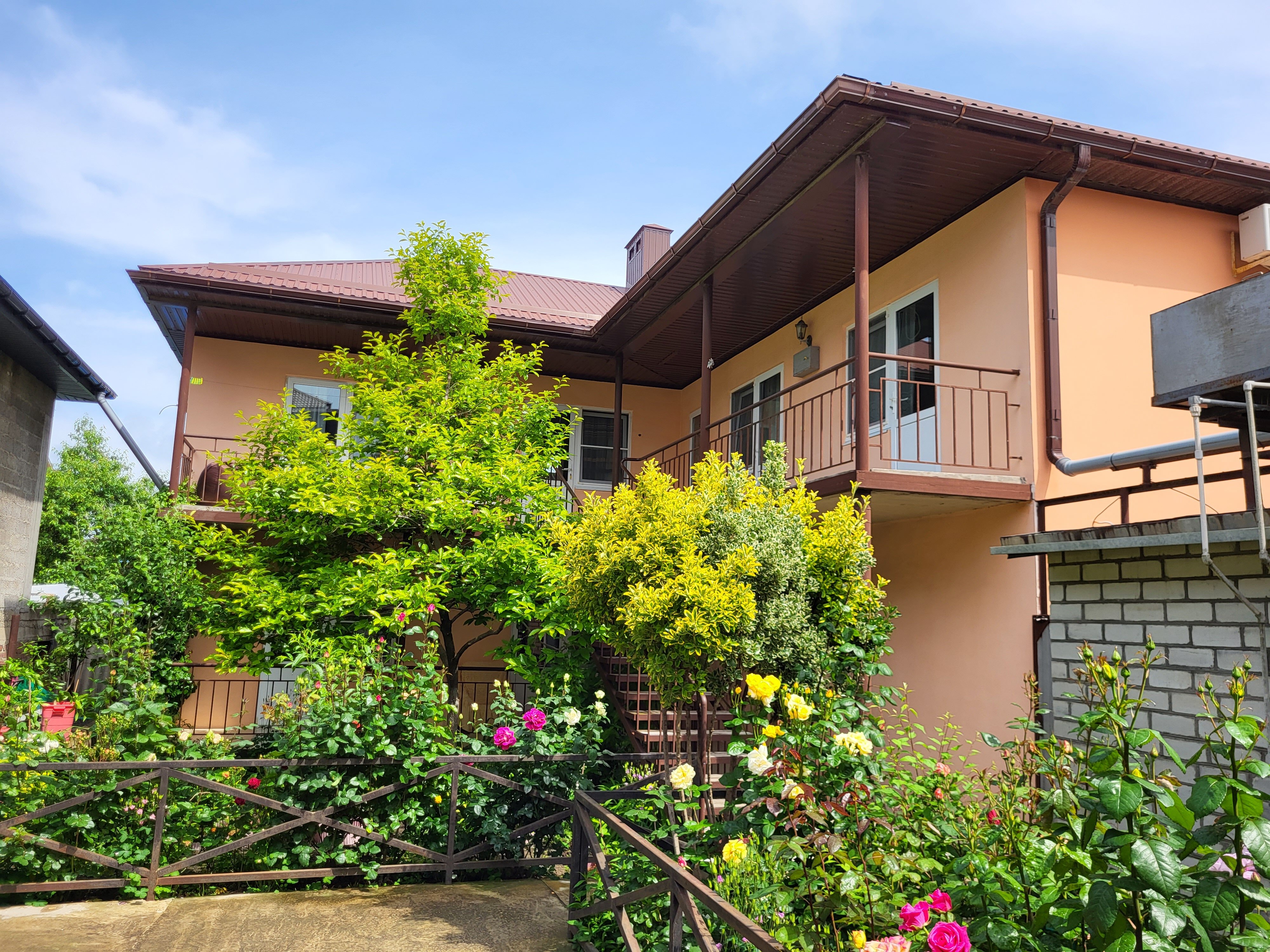 Фото Ариэль