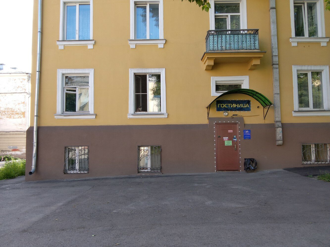 Фото Золотое крыло