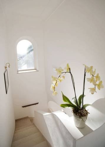 Фото B&B Cavalluccio Marino