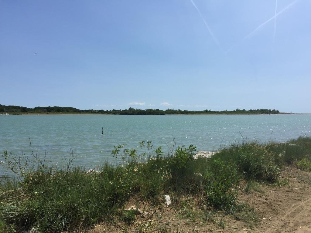 Фото Maestrale Canova Apartments