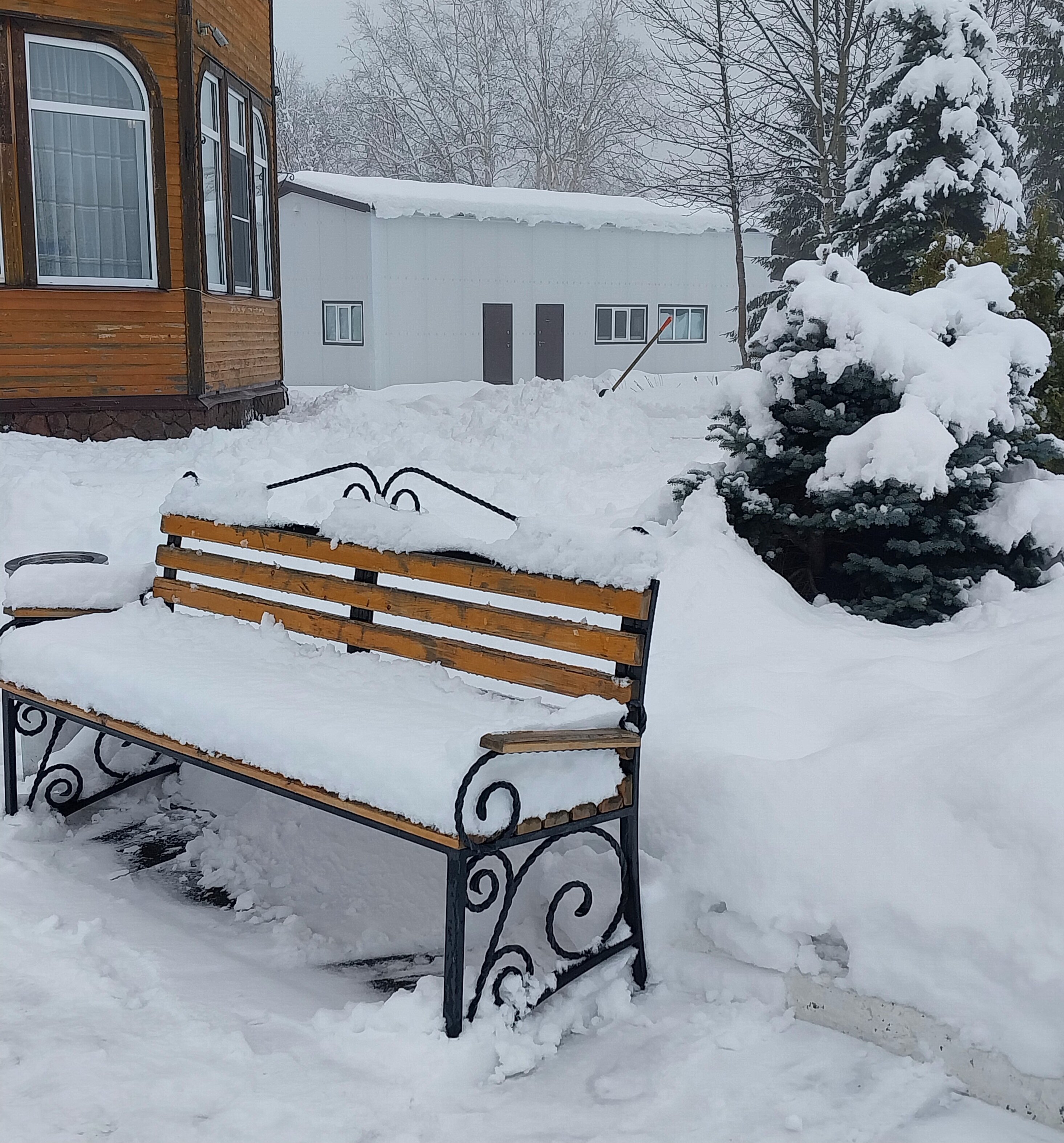 Фото Антариус