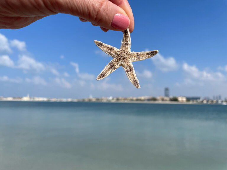 Фото Th8 Palm Dubai Beach Resort by IHG Dubai