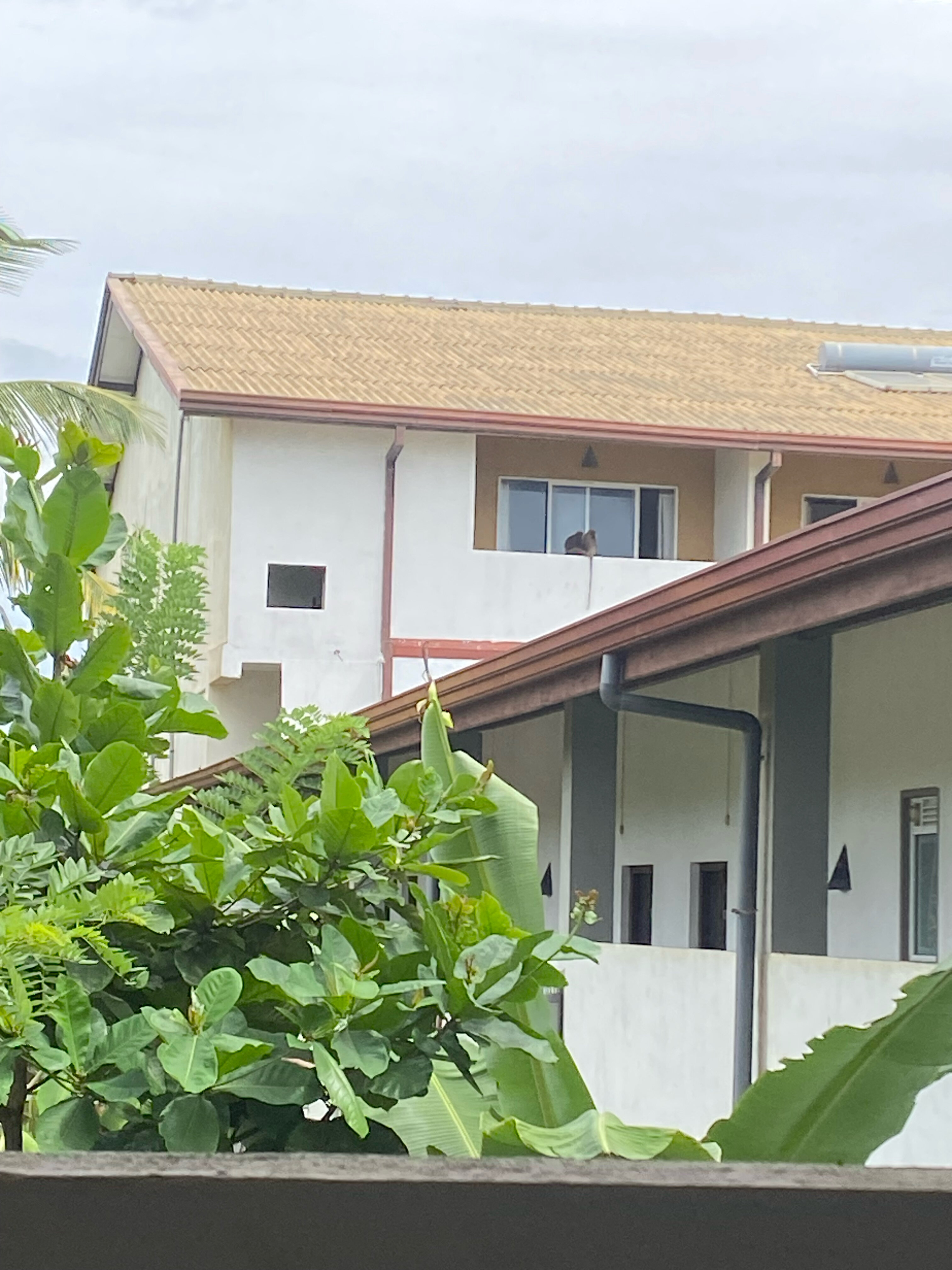 Фото Coco Royal Beach Resort - Waskaduwa