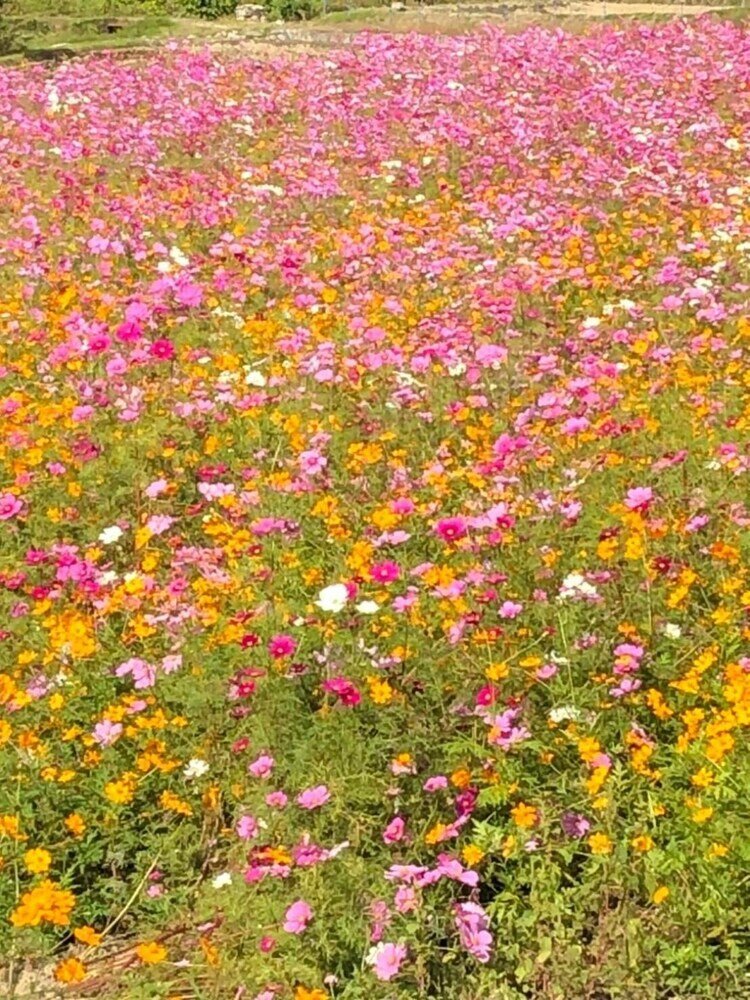 Фото Yamanobenomichi teku teku