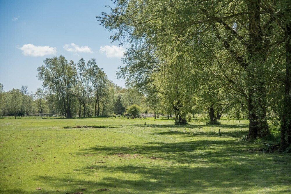 Фото Magnolia, Kingfishers
