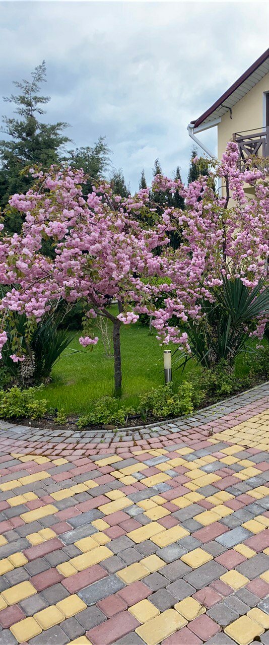 Фото Sineva Del Sol