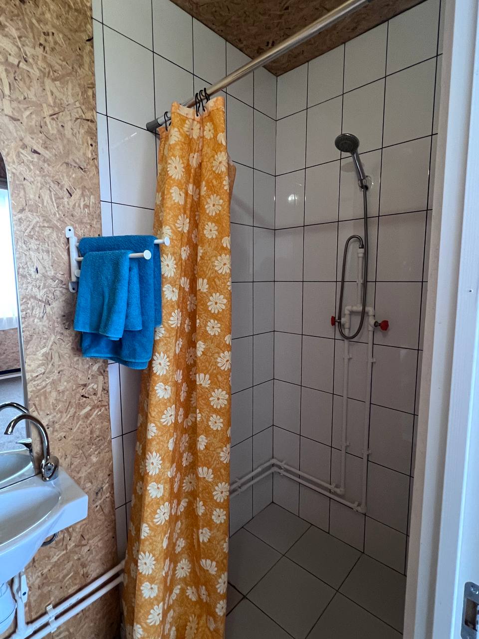 Фото 33 Пушкина