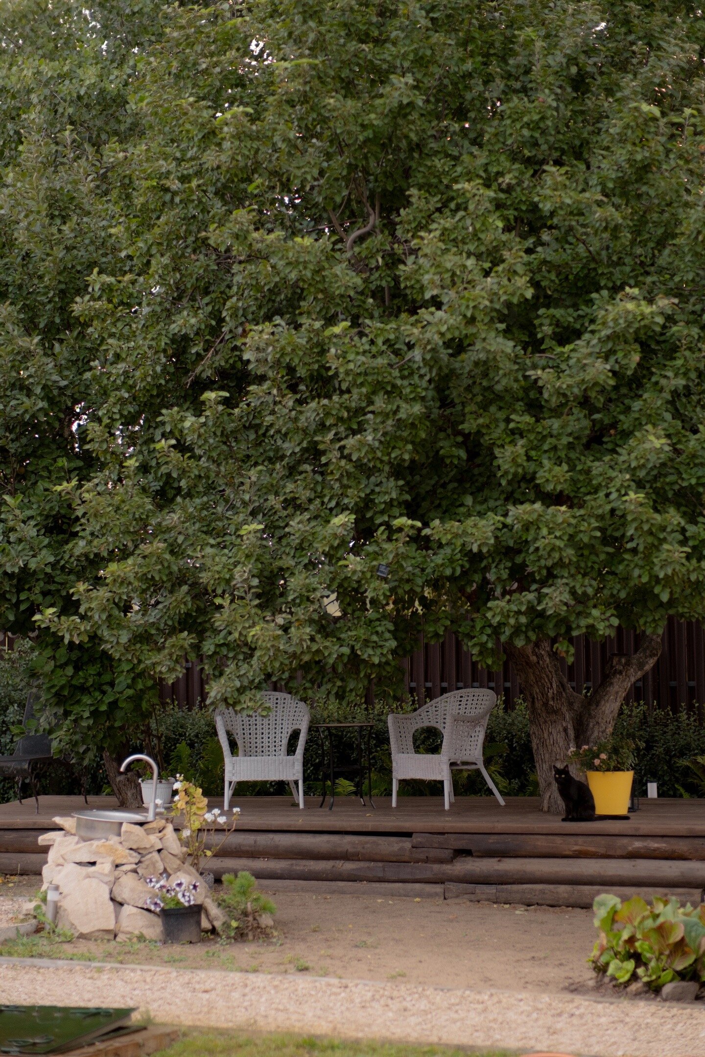 Фото Велопарк