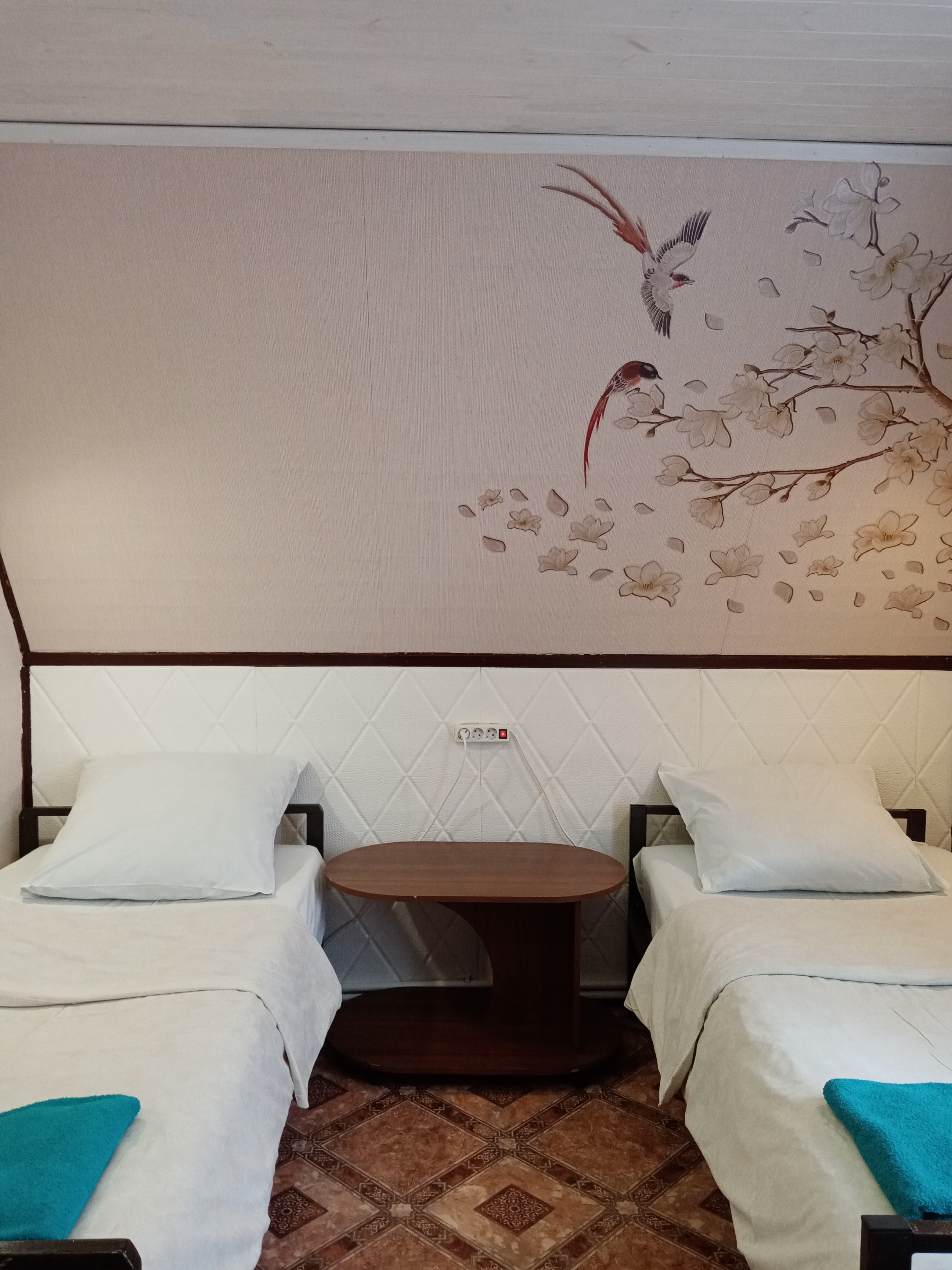 Фото Фаворит