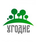 Логотип